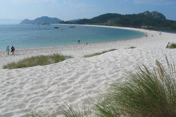 Cies